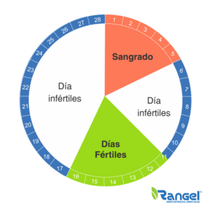 menstruación