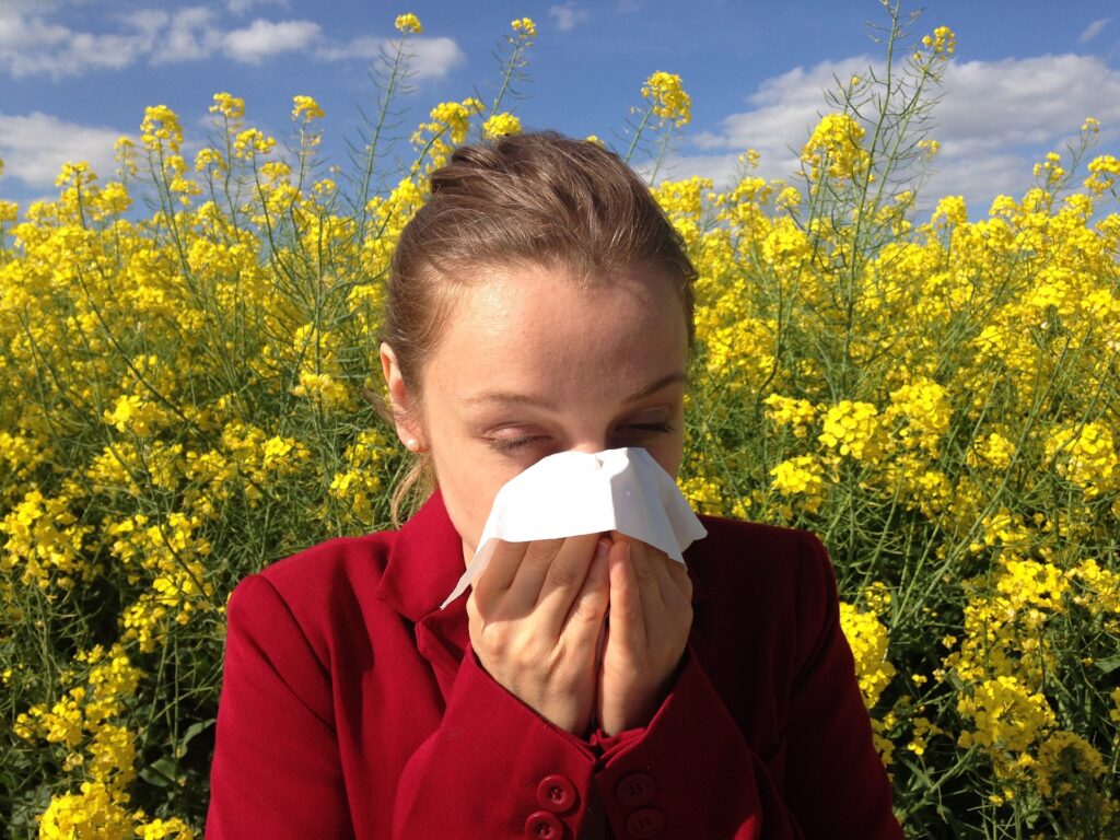Primavera alergia al polen